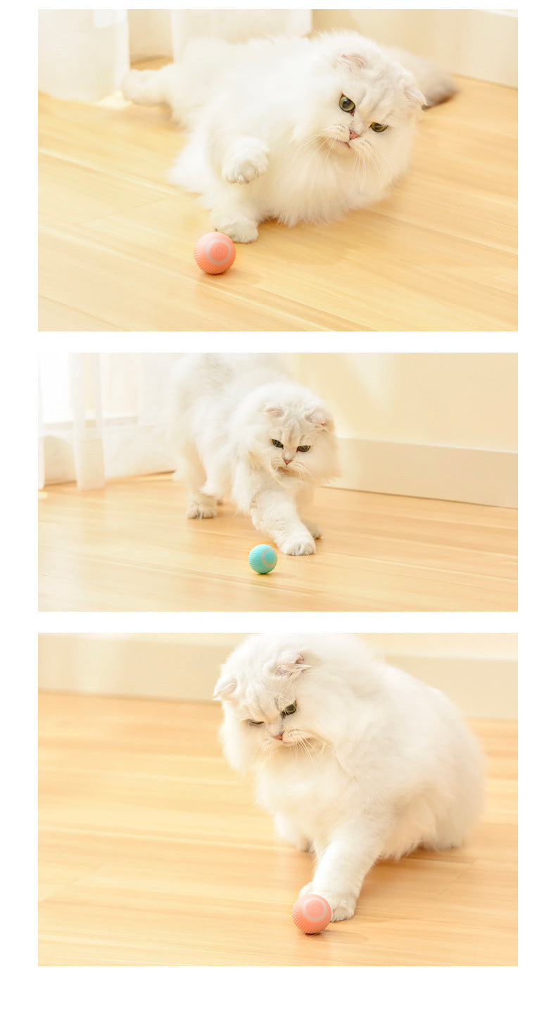 Smart Rolling Cat Ball – Interactive Play